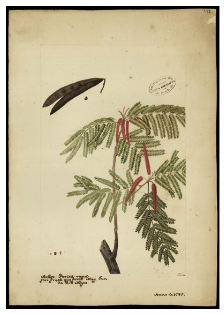 Expedição Alexandre Rodrigues